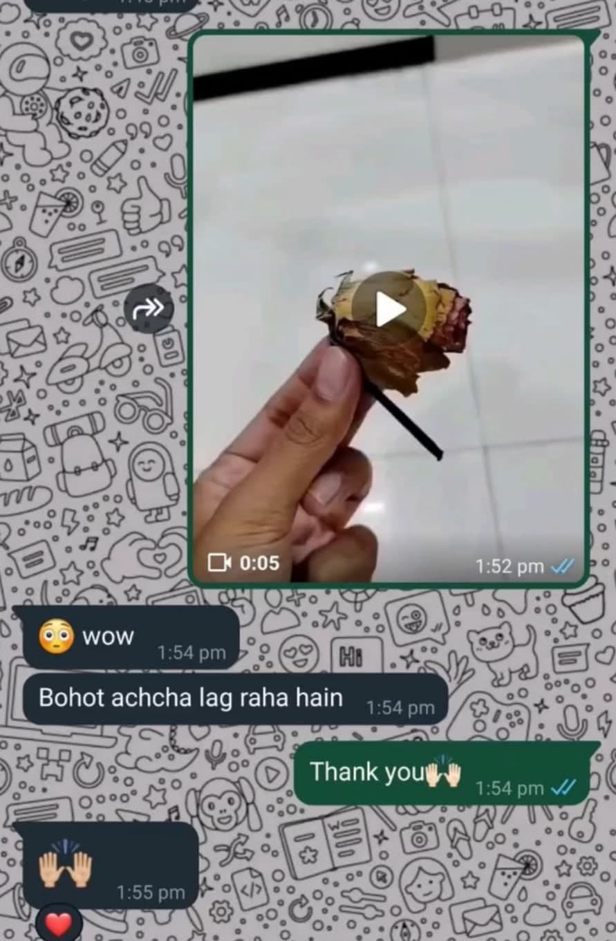 WhatsApp screenshot with a video of a preserved dried rose being held, and the replies 'wow' and 'Bohot achcha lag raha hain'